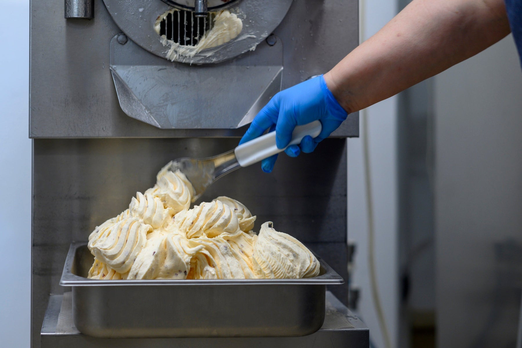 Acquista Gelatiera Carpigiani: La guida definitiva (2025) - krae-shop.com